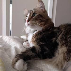 Meet your Posher, Donna